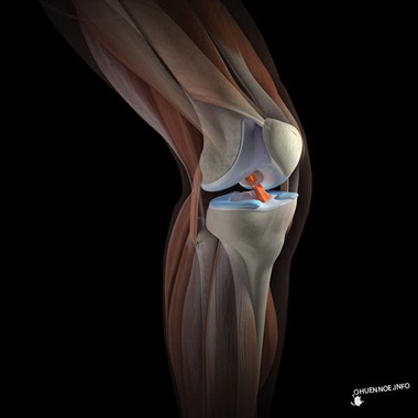 Диагностическая артроскопия коленного сустава